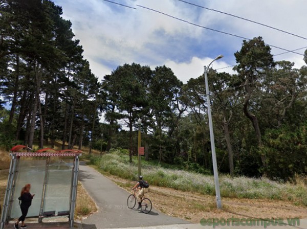 Body Found Outside Lands In San Francisco Golden Gate Park