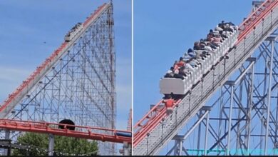 Cedar Point Roller Coaster Stuck: Passengers stuck on high