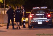 Details of the stabbing incident in the Don Mills area