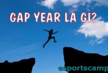 Tác động của Gap Year lên động lực học