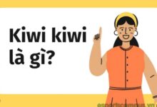 Kiwi Kiwi là gì?