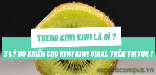 Ý nghĩa của trào lưu Kiwi kiwi trong văn hóa trực tuyến và cộng đồng TikTok