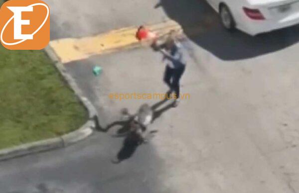 Shocking Video Shows Brutal Dog Mauling: Unveiling the Disturbing Truth